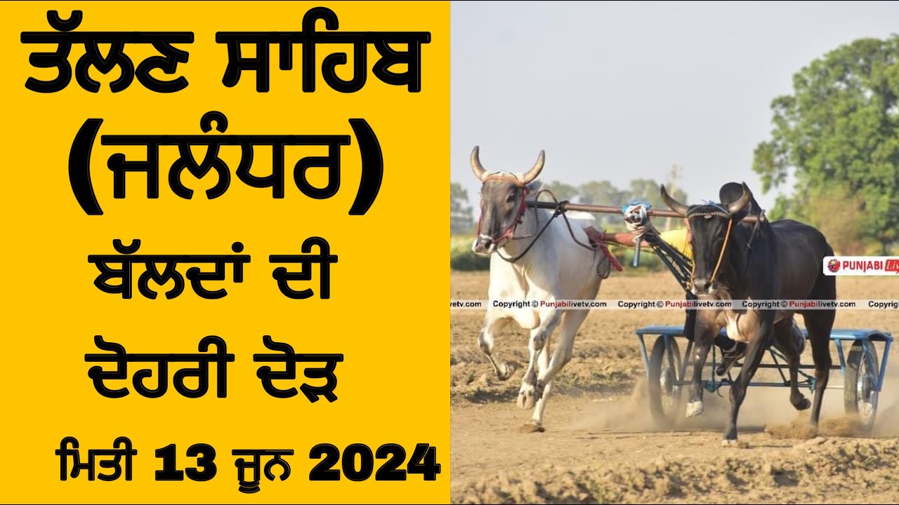 🔴[LIVE] ਤੱਲਣ ਸਾਹਿਬ (ਜਲੰਧਰ) ਬੱਲਦਾਂ ਦੀ ਦੋਹਰੀ ਦੋੜ 13 ਜੂਨ 2024