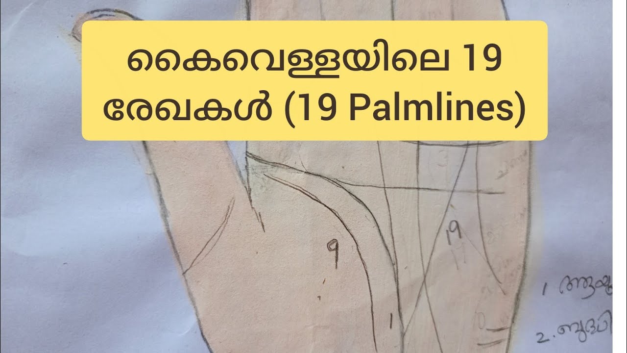 കൈവെള്ളയിലെ 19 രേഖകൾ 19 Palmlines Part-2 ഹസ്തരേഖ-3 #trending #palmistry #palmreading 