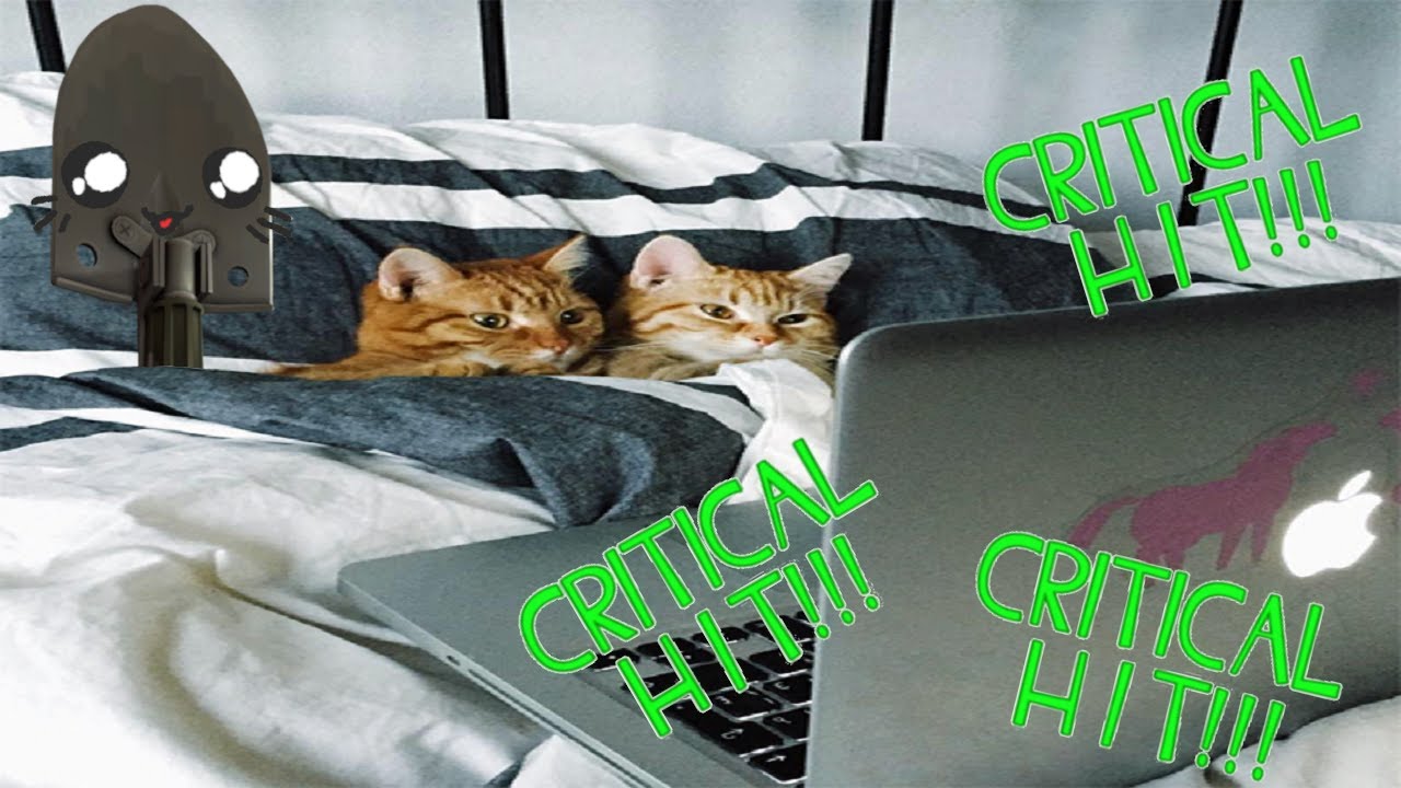 get cozy cuz it's about to go critical