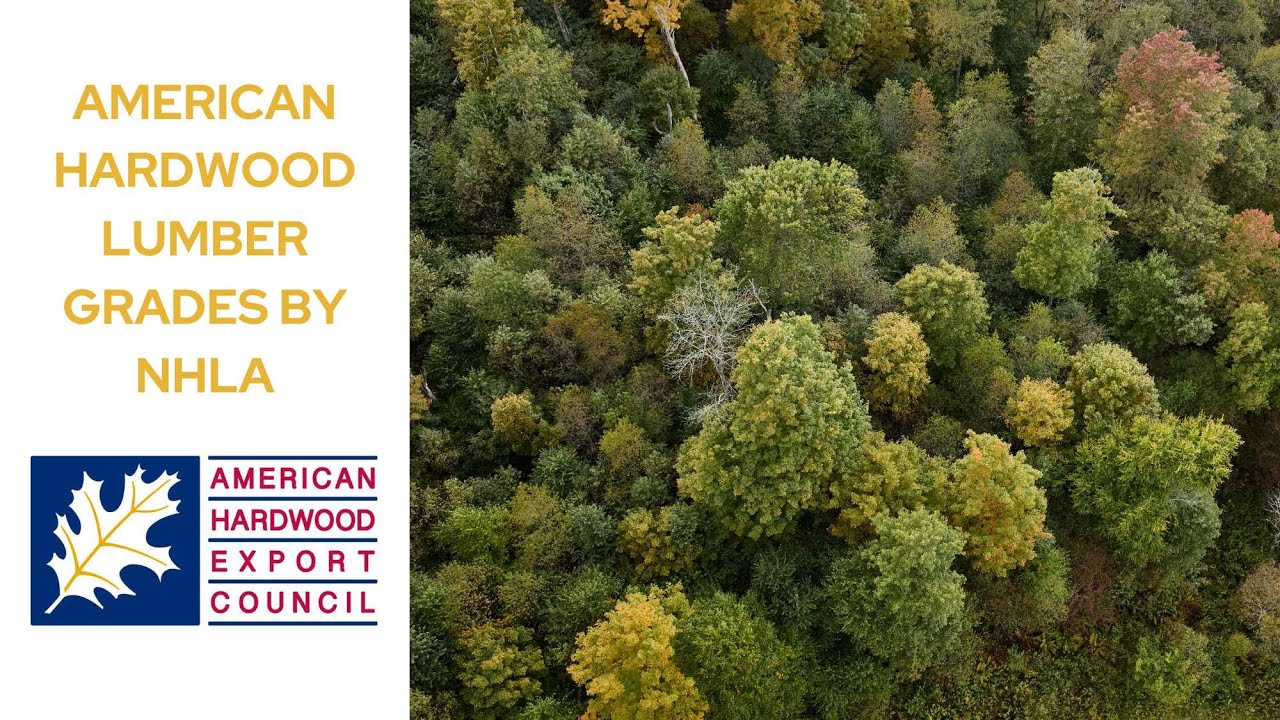 AHEC Presents an Updated Workshop on Grading to American Hardwood Lumber