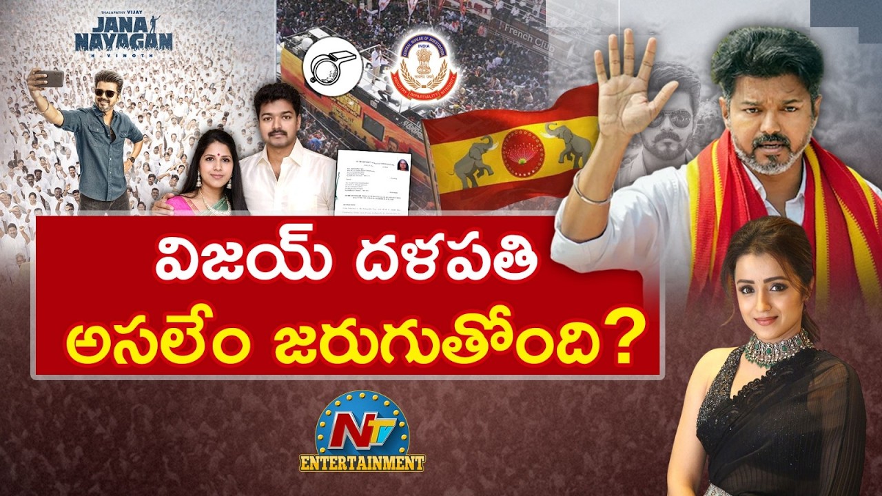 Special Focus On Vijay Thalapathy |  Sangeetha | Trisha || NTVENT