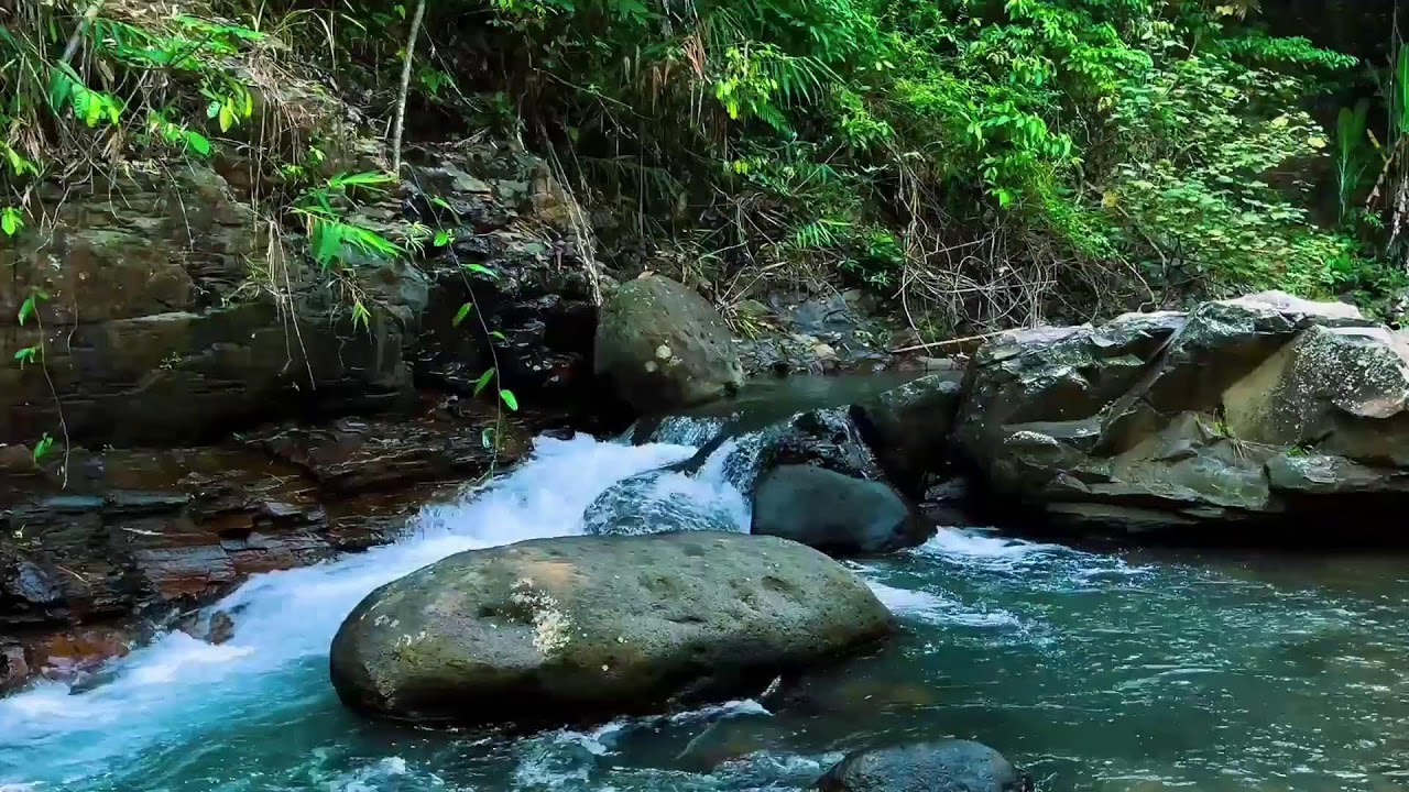 Gentle Rock-Pool Waterfall – Real Jungle White Noise for Deep Sleep & Stress Relief