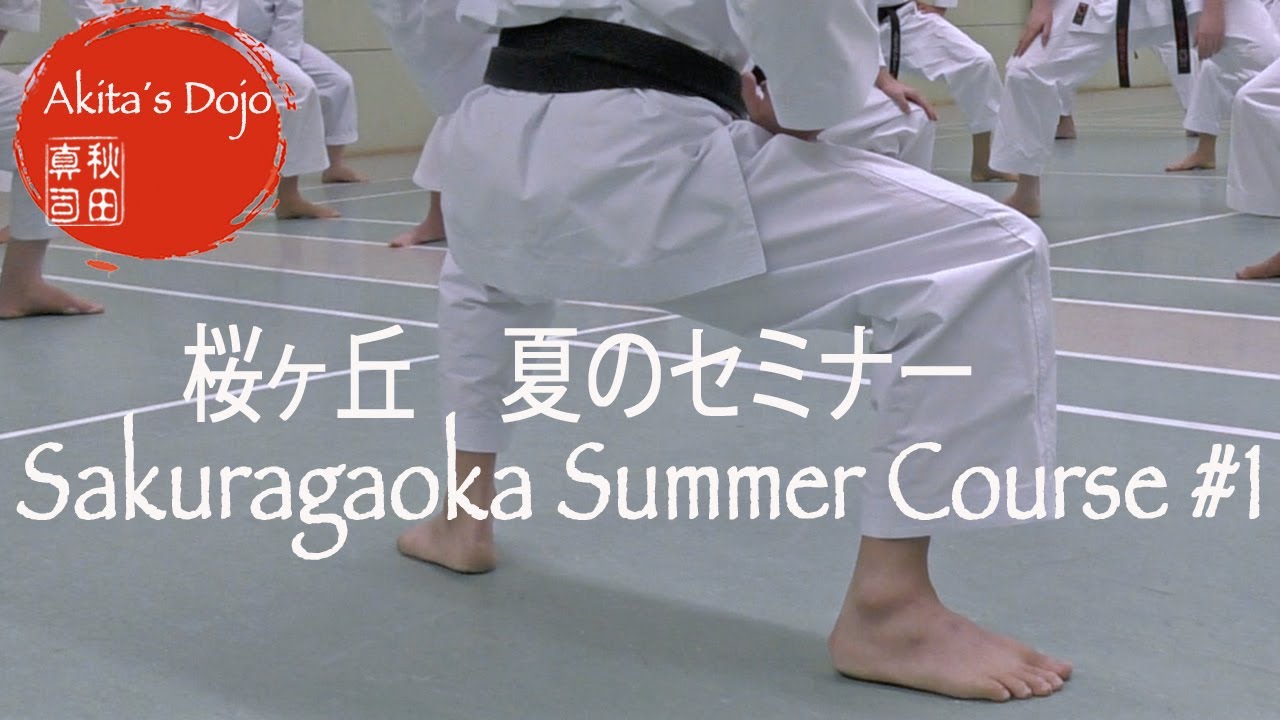 【Summer Course 2020】#1 - Shotokan Karate Seminar at Sakuragaoka in Germany【Akita's Karate Video】