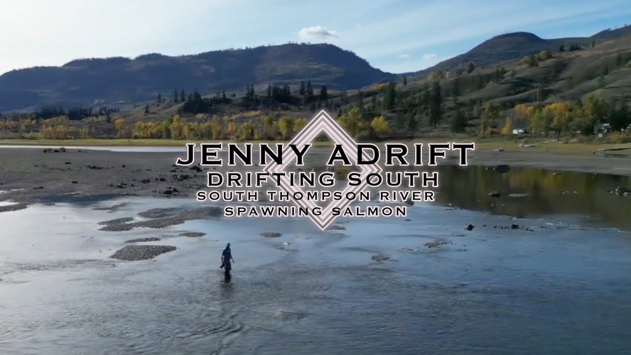 Spawning Salmon South Thompson River | Shuswap | Chase | British Columbia | FULL TIME RV LIFE
