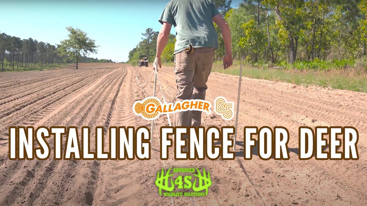 Installing a Gallagher Fence for Deer