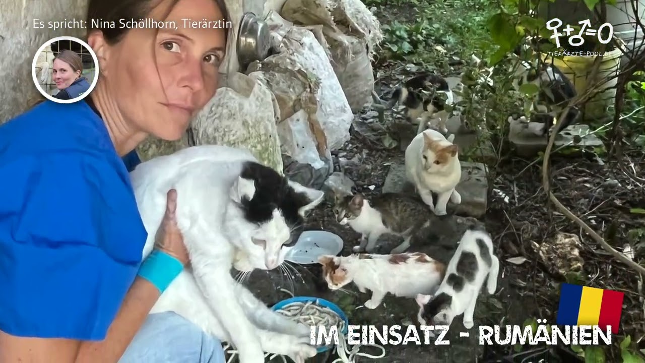 Im Einsatz 97 - Rumänien: Katzen für die Kastration fangen
