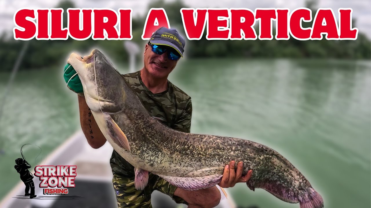 PESCARE I SILURI IN VERTICALE CON TEASER in 4K