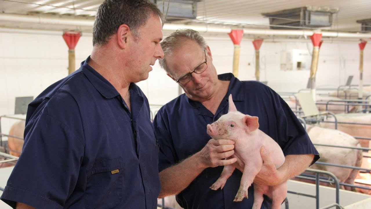 Schwartz Farms - Our Story