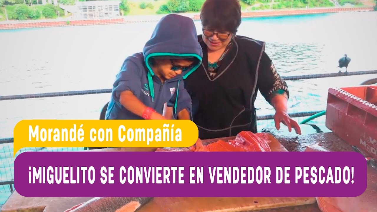 Morandé con Compañía 2016 - Miguelito se convierte en vendedor de pescado - Capítulo 75