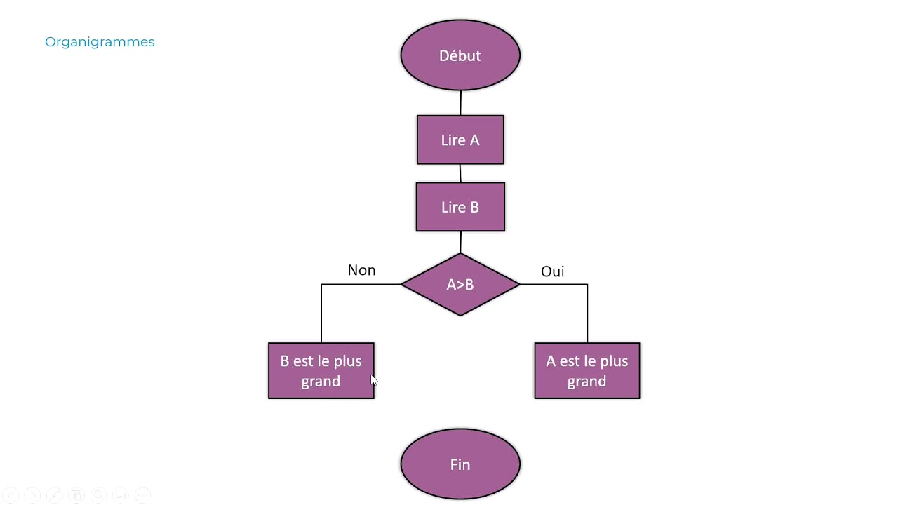 Correction d'exercice - Organigrammes