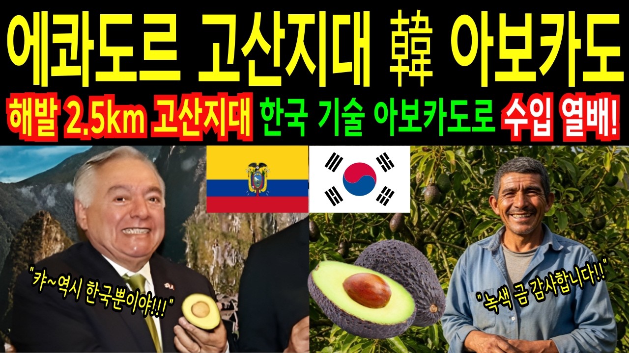 [해외감동사연] 세계 1위 한국 농업기술 아보카도로 에콰도르 변화 시킨 한국 농업! 에콰도르 아보카도 한국협력 프로젝트 안데스에 일어난 기적 전세계 충격