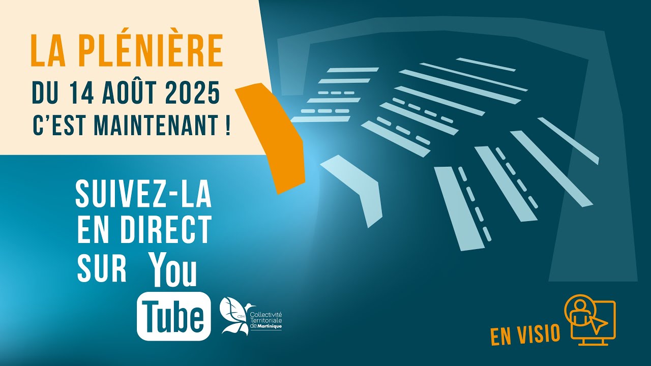 Séance plénière de l’Assemblée de Martinique - 14 août 2025