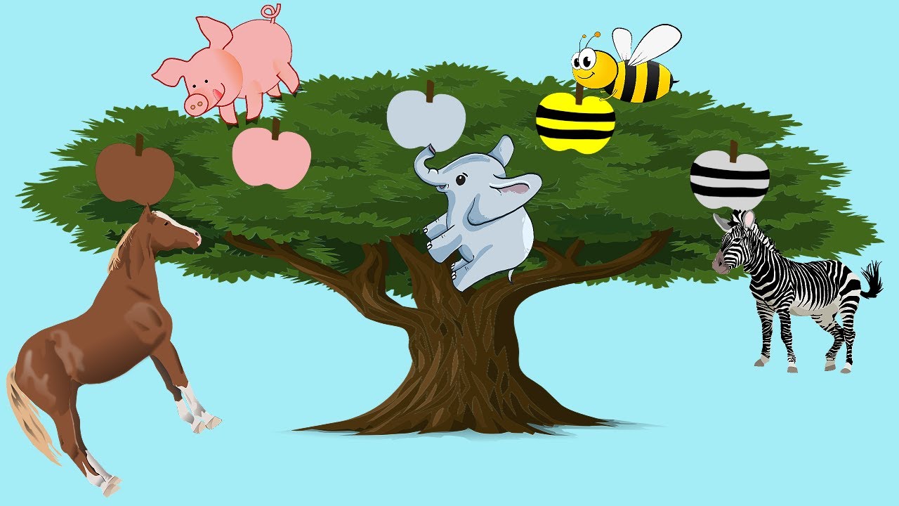 Magic apple tree - Children's educational animation