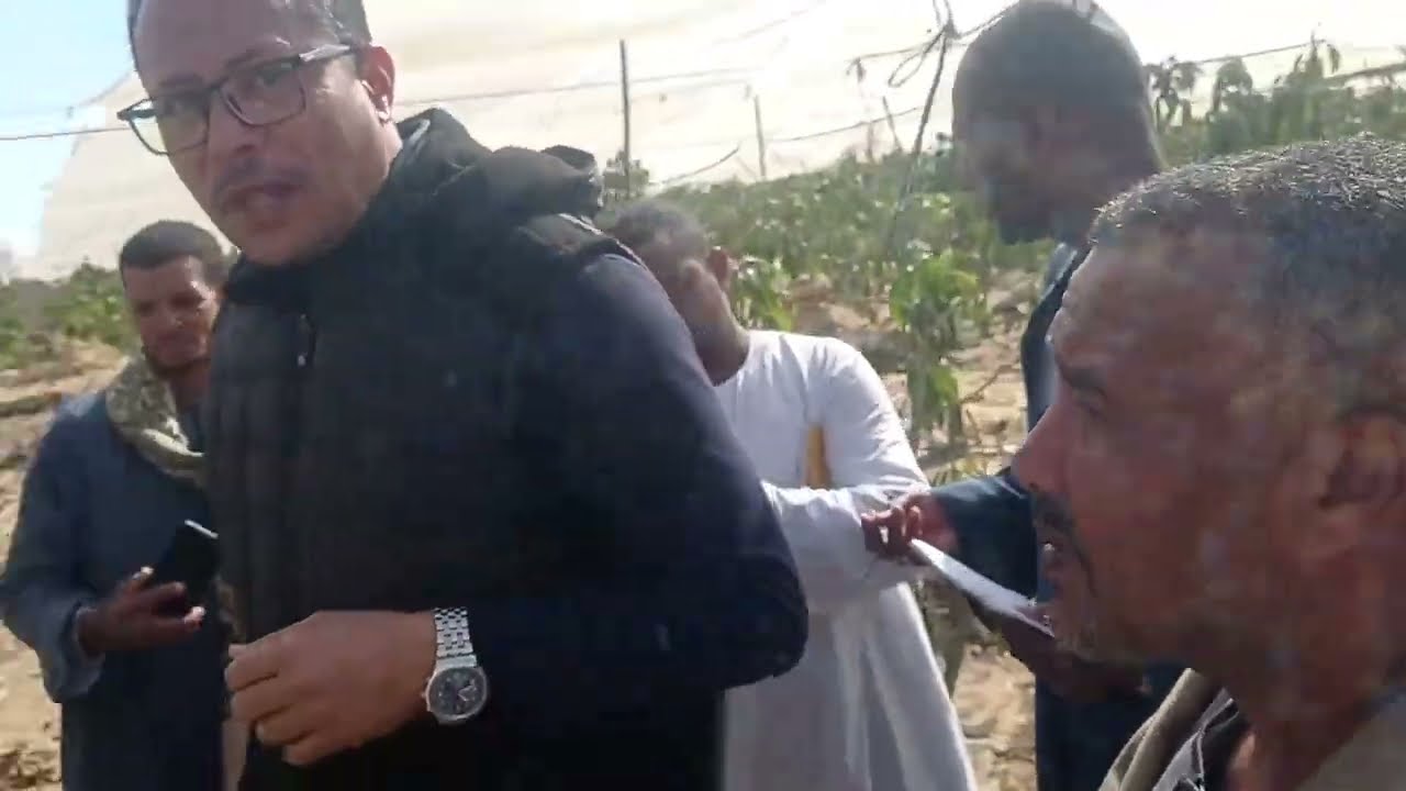 أقوى برنامج غذائى وتسميد !