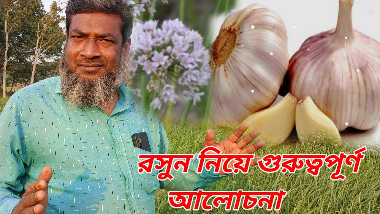 রসুন এর উৎপত্তি | রসুন এর উপকারী | রসুন এর ঔষধি দিক | সকল কিছু এক ভিডিওতে 2026