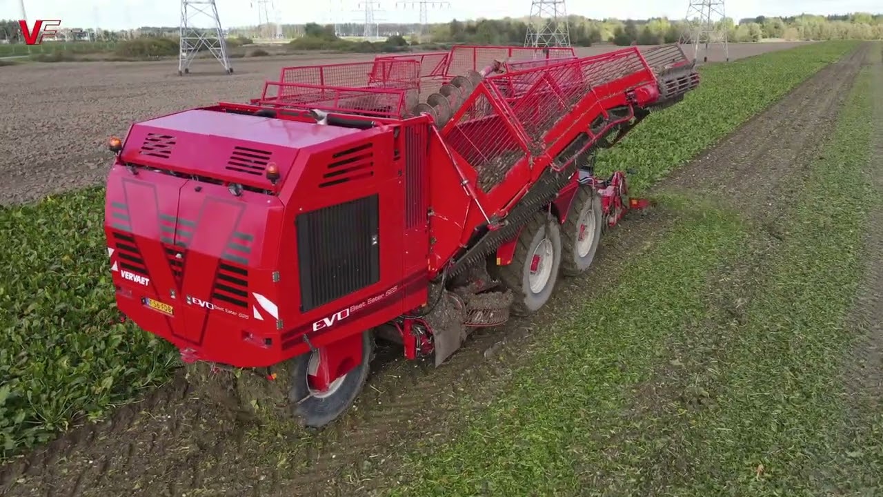 Loonbedrijf van den Dries aan het bieten rooien met de nieuwe Beet Eater 625 EVO