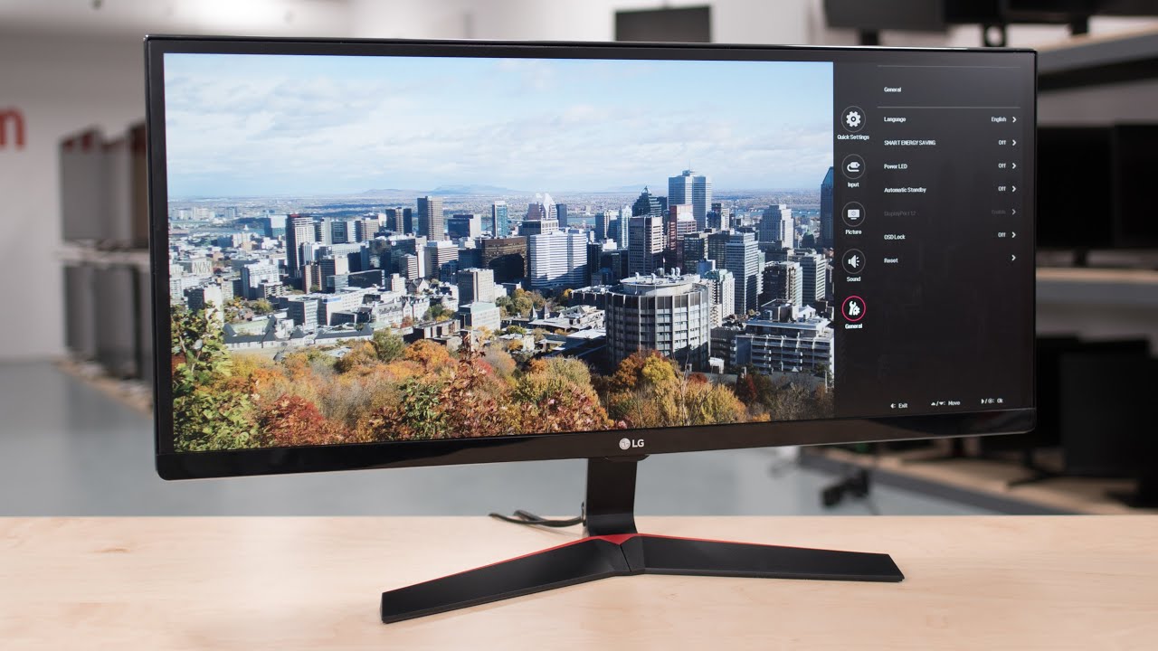 Monitor LG 29