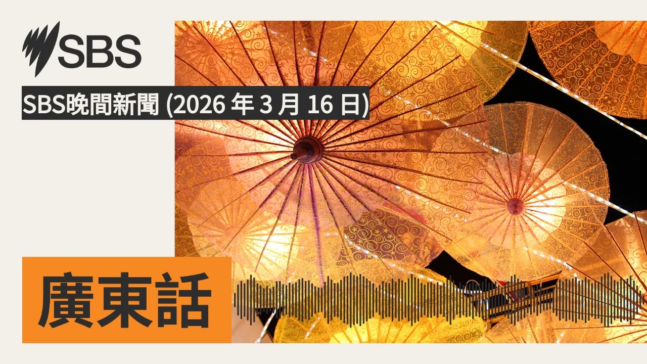SBS晚間新聞 (2026 年 3 月 16 日) | SBS Cantonese - SBS廣東話節目