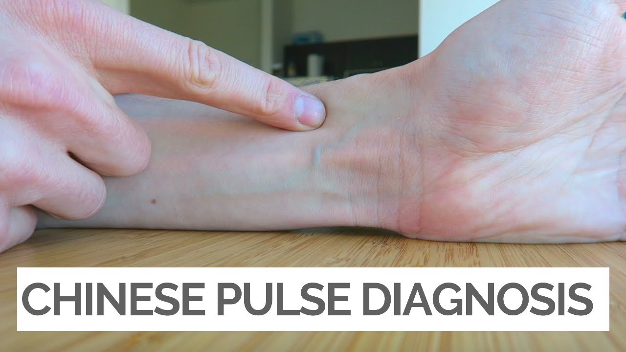 Chinese Pulse Diagnosis: A Beginner's Guide
