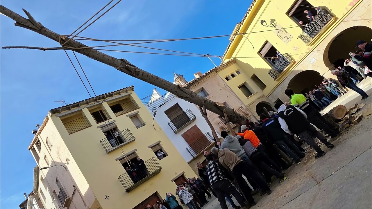 'Plantada del chopo'. Fiestas de San Sebastián. Castelserás, 2026.