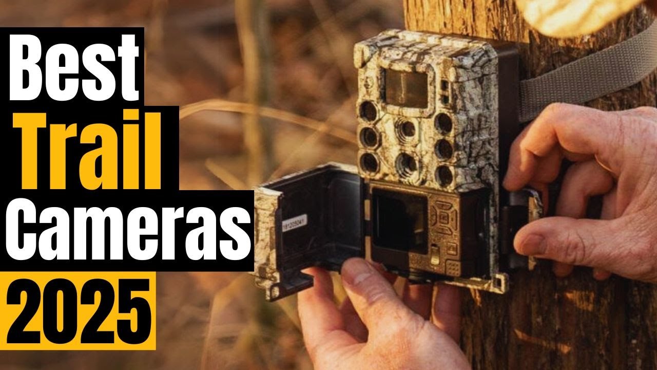 Best Trail Cameras 2025: For Hunters, Nature Lovers, & Backyard Enthusiasts
