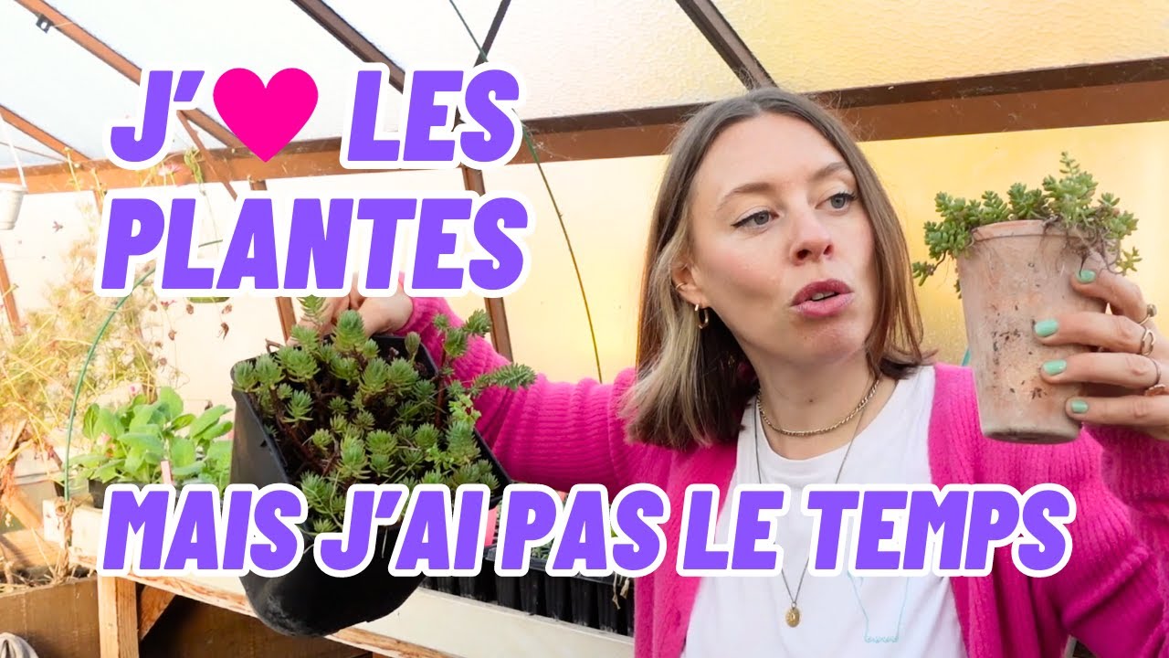COMMENT CHOISIR MES PLANTES SI J'AI PAS LA MAIN VERTE (ou juste pas le temps) ?