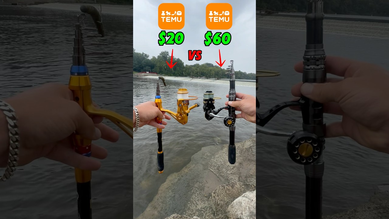$20 vs $60 Temu Fishing Combo!