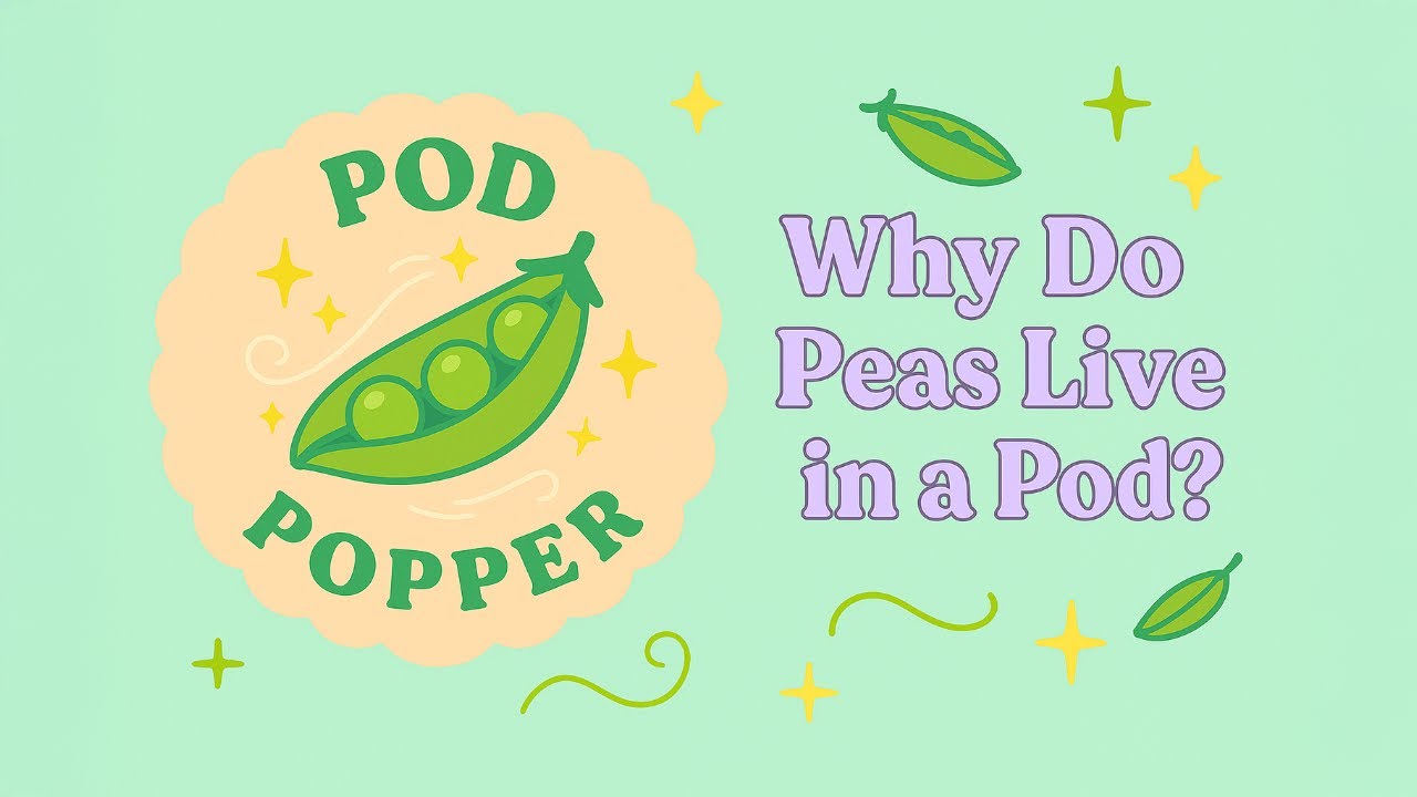 Why Do Peas Live in a Pod? 🌱 | Kids’ Food Discovery Club