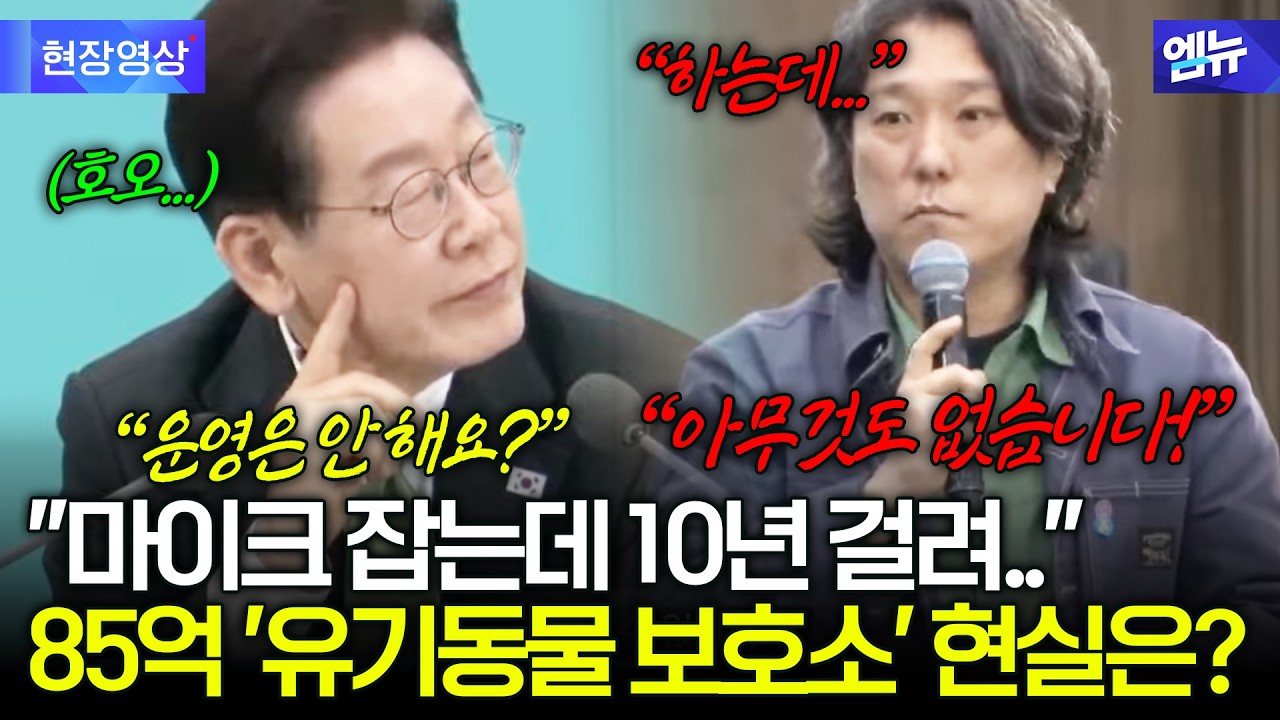 고양이 보호소 신설했지만 ‘빈 방’ 현실, 