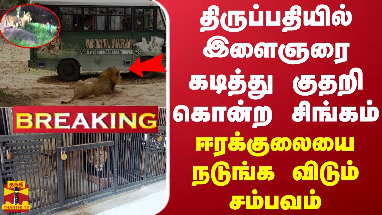 #BREAKING || திருப்பதியில் இளைஞரை கடித்து குதறி கொன்ற சிங்கம் - ஈரக்குலையை நடுங்க விடும் சம்பவம்