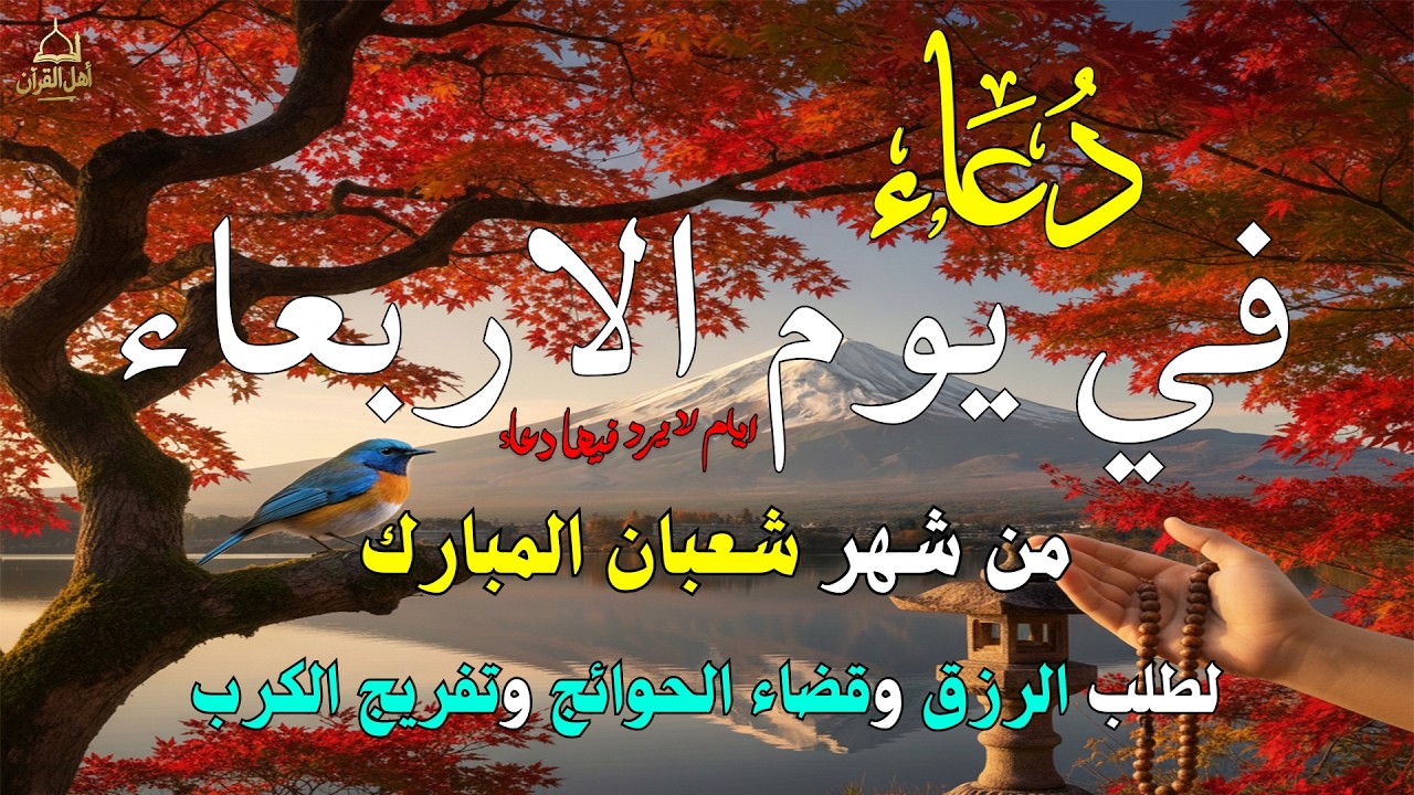 دعاء فى يوم الاربعاء المستجاب دعاء في يوم 9 من شهر شعبان للرزق والشفاء العاجل وقضاء الحوائج 🤲(4k)