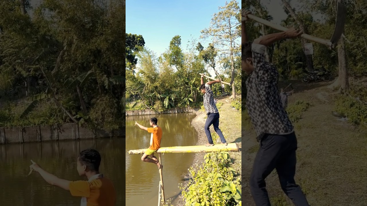 funny video 478