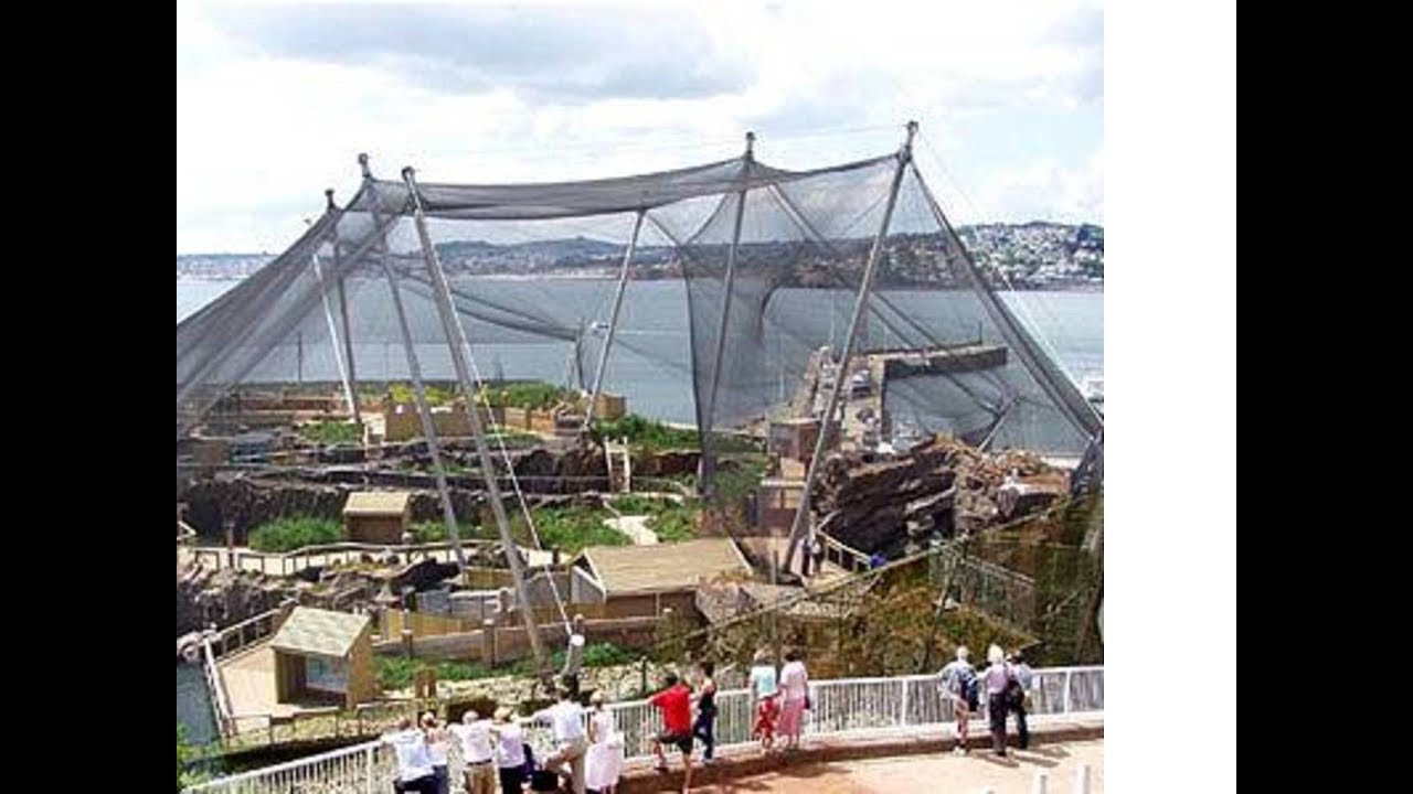 Living coasts Torquay