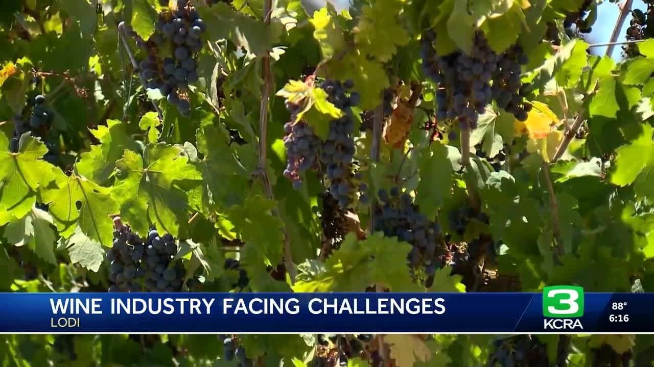 Lodi wineries face challenges amid declining wine demand