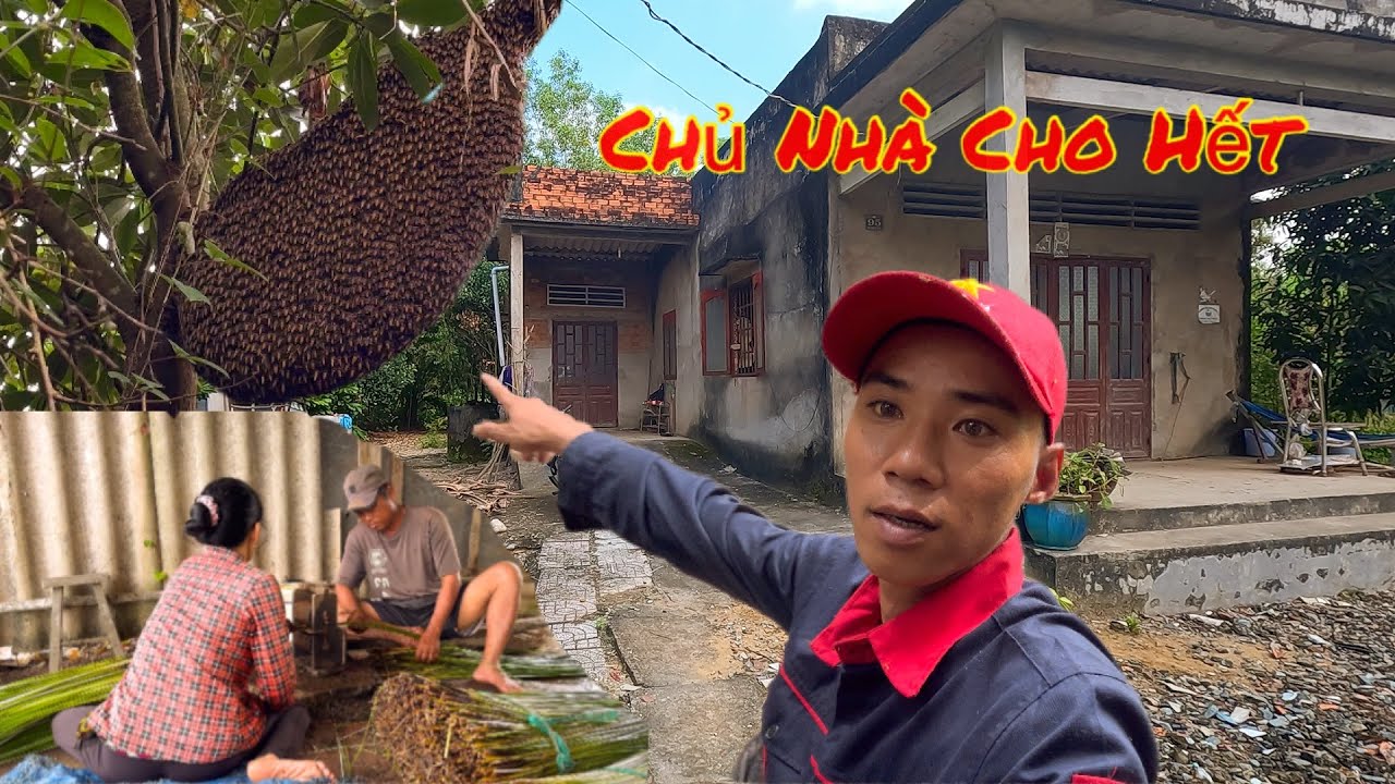 Vượt Dặm Đường Xa Chinh Phục Tổ Ong Khủng Hoảng Trời Khiến Nghề Mưu Sinh Gặp Phải Cảnh Này