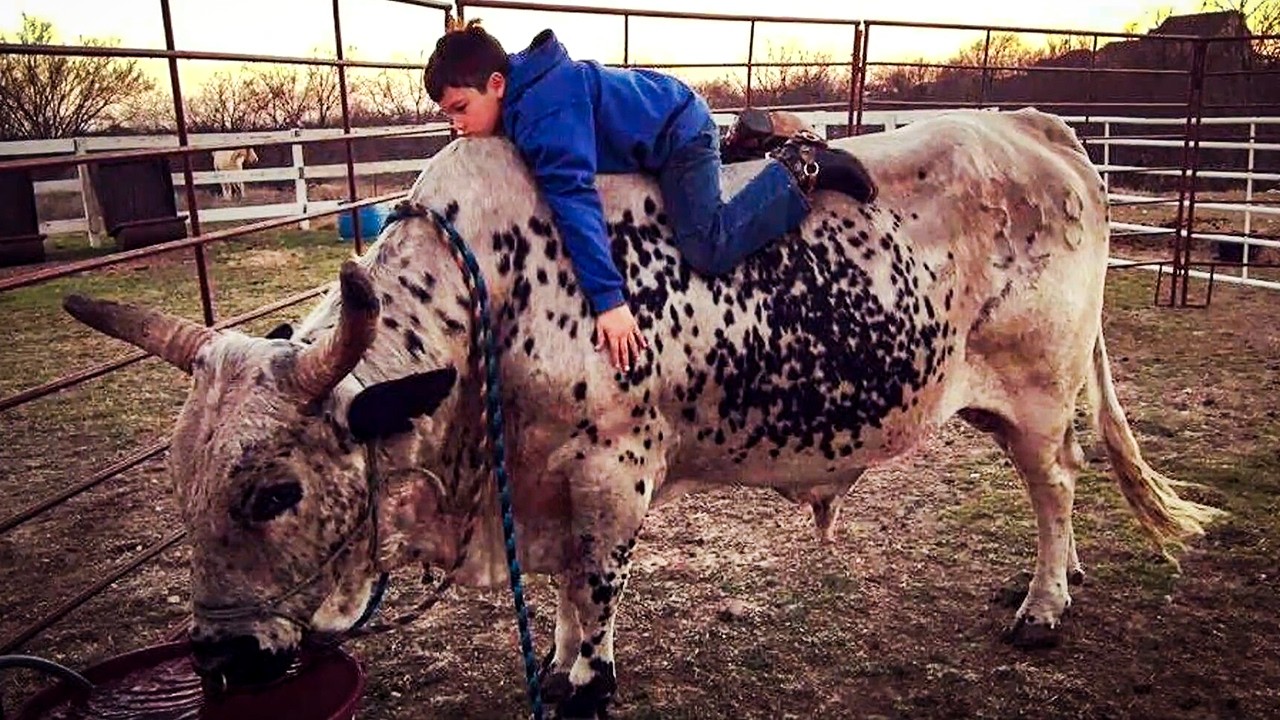 John Crimber: Born to Be a Bull Rider