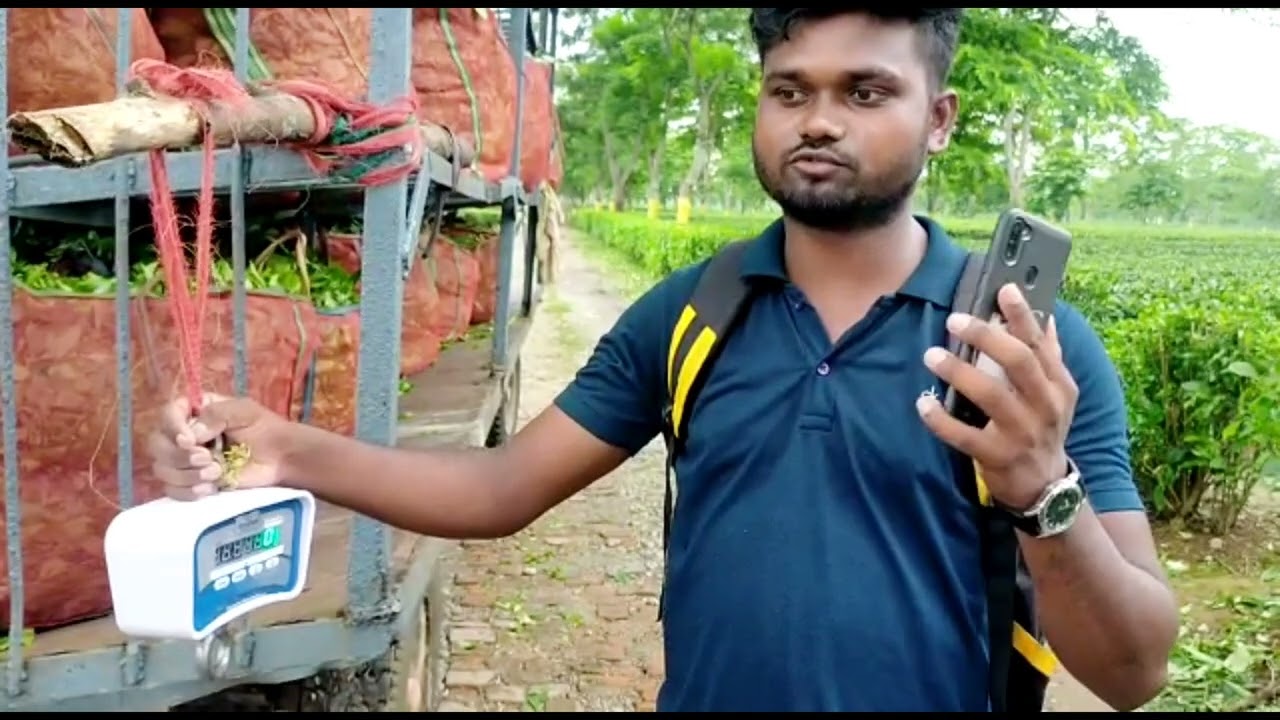 Nahorani Tea Estate  - Amalgamated Plantations  Review On BlueEye - Facial Recognition Technology