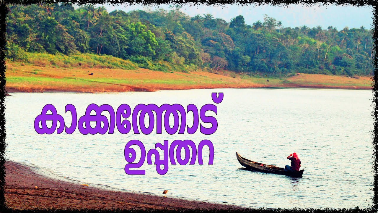 കാക്കത്തോട്, ഉപ്പുതറ | Kakkathodu, Upputhara | OMLP School Upputhara