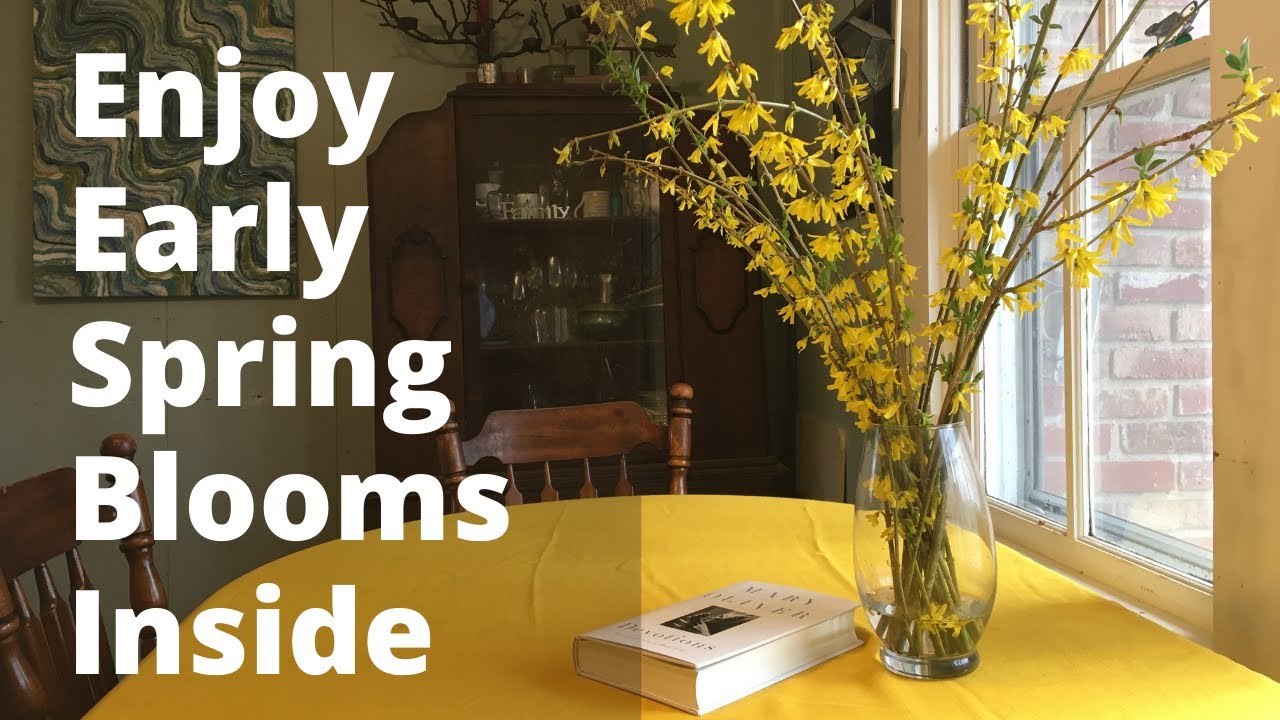 Get a Preview of Spring by Forcing Blooms Indoors