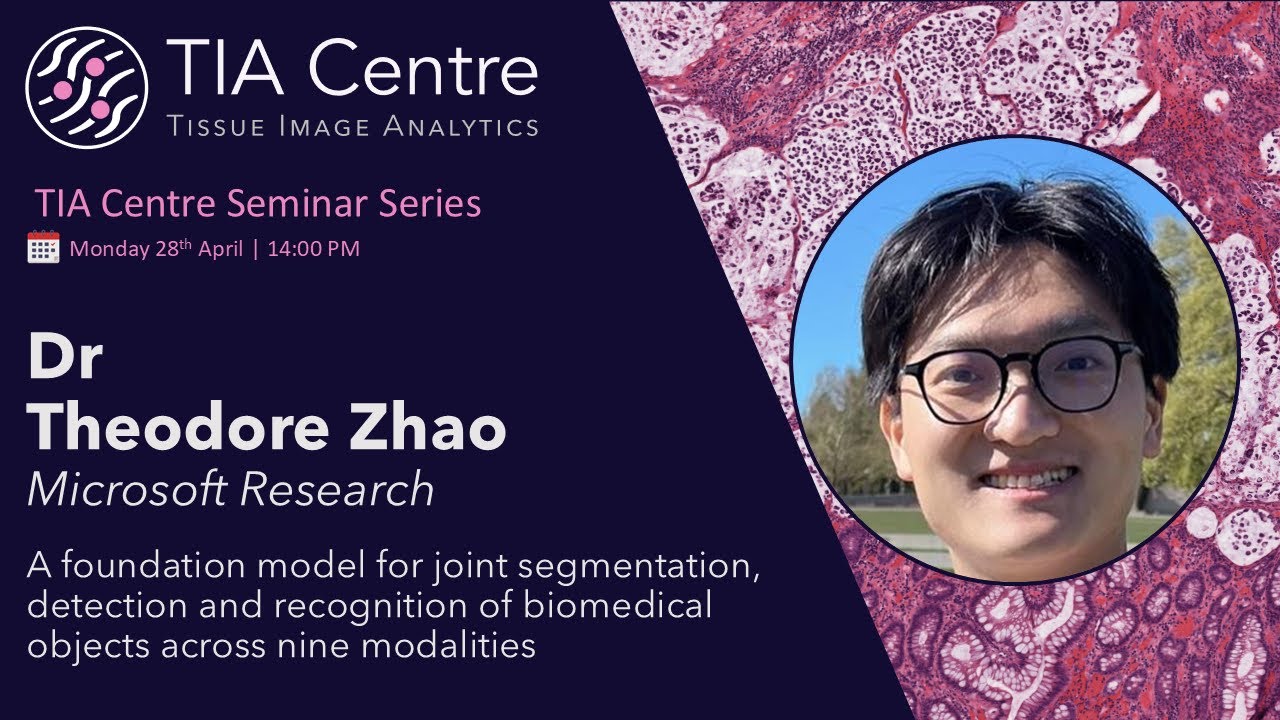 A foundation model for segmentation, detection and recognition of objects: Theodore Zhao, 28/04/25
