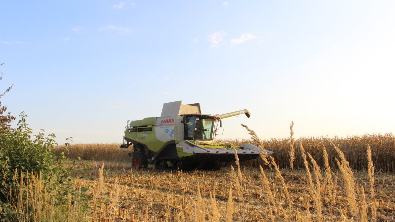 Mais dreschen 2016 / Bayern / Claas Lexion 750 TT
