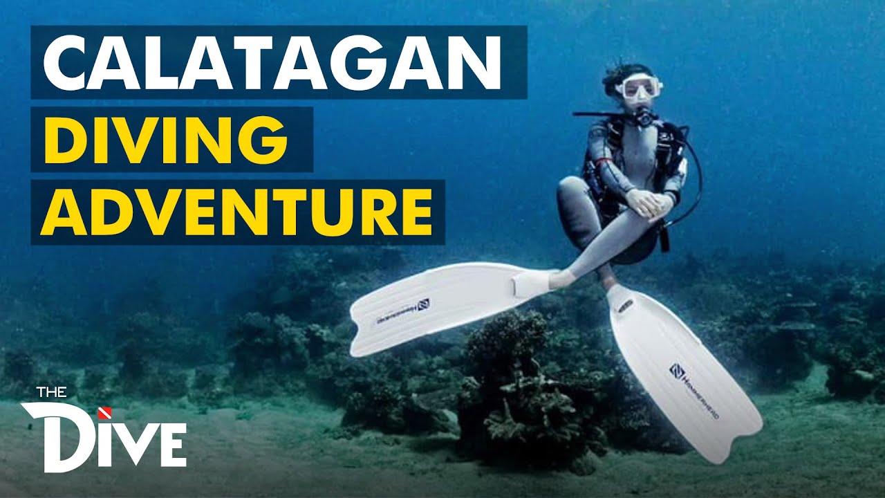 CALATAGAN, BATANGAS: Virtual Diving Escapade | THE DIVE