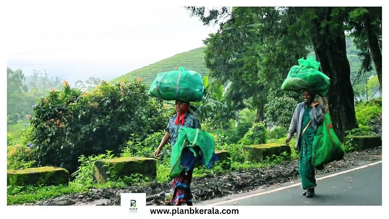 Munnar village life &mdash; mornings filled with mist, smiles, and the rhythm of tea estate workers .....|