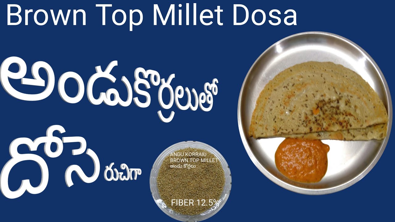 అండు కొర్రల దోసెలు రుచిగా||Browntop Millet Dosa easy way