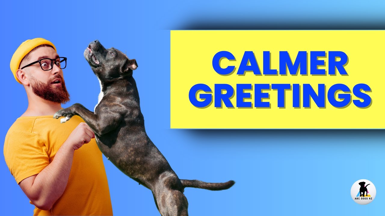 How to have a CALM dog when people arrive. 3 ways to help✅