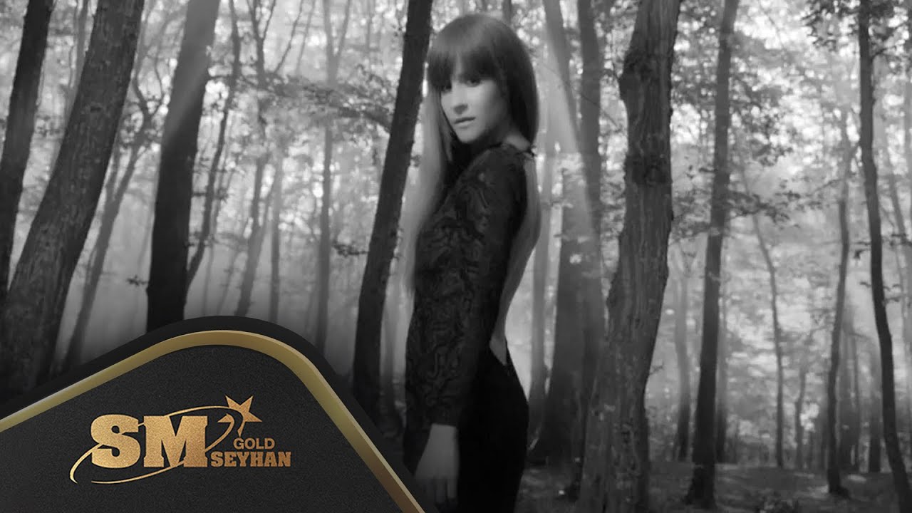 Aynur Aydın - Nolur Gitme