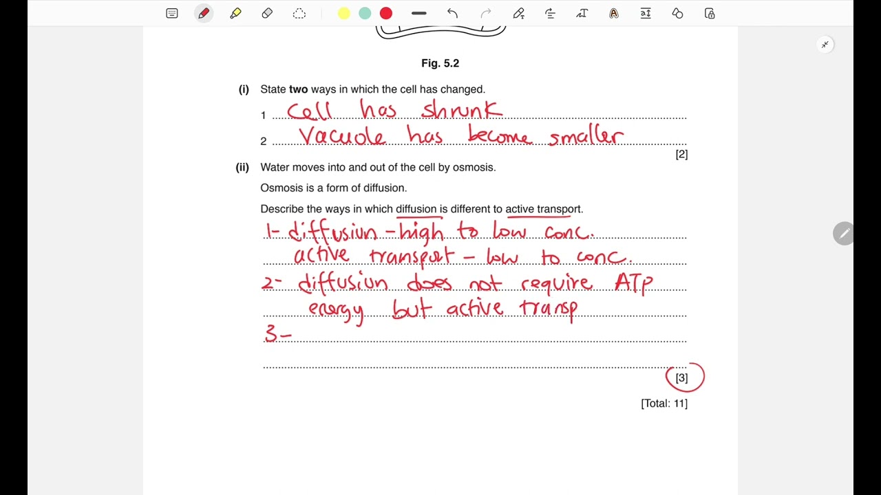 IGCSE 0654 Questions by Topic (B3 - Movement in and out cells)