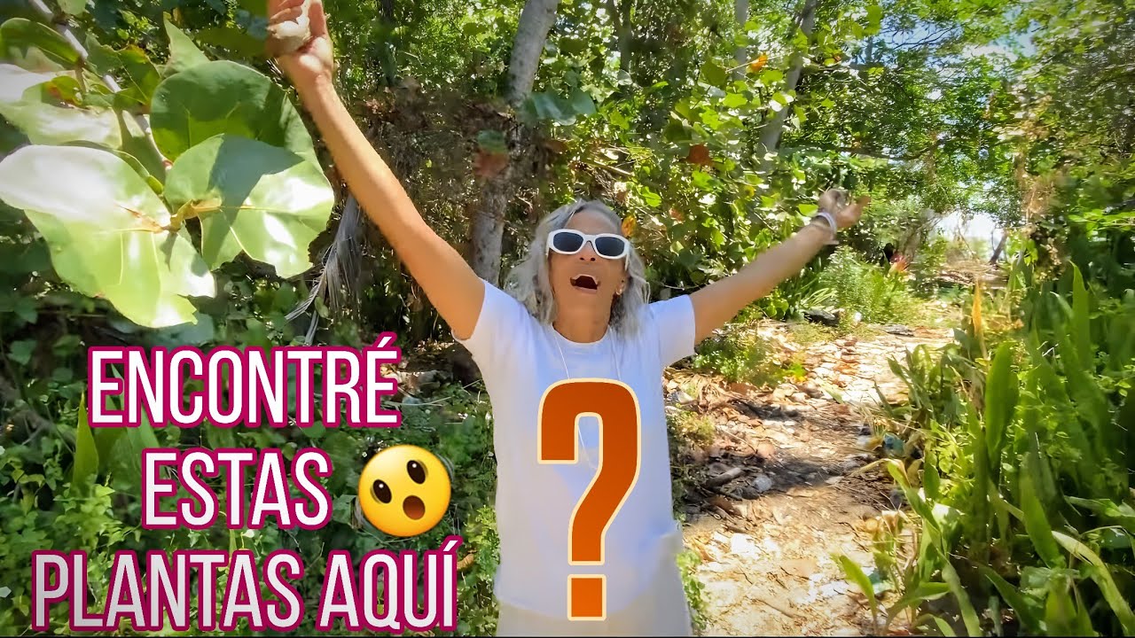 ¿Qué Hacen Estas Plantas AQUÍ? 😲
