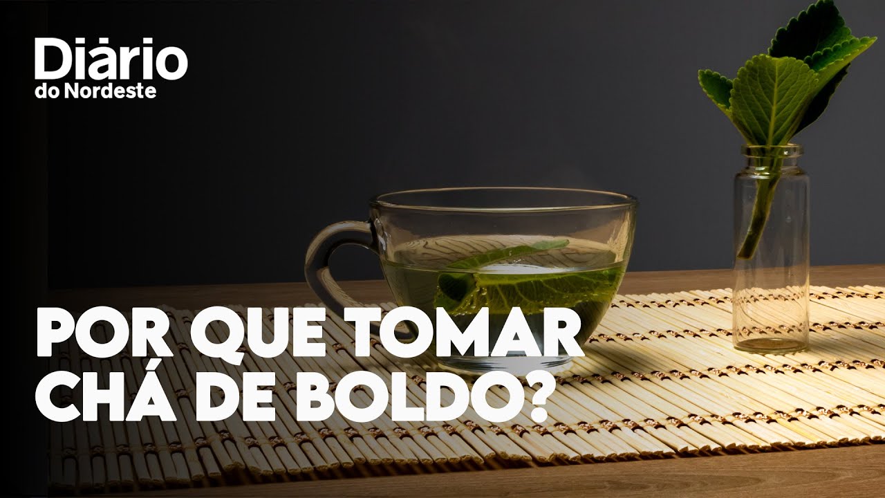 Por que tomar ch&aacute; de boldo? Confira seis benef&iacute;cios para sua sa&uacute;de