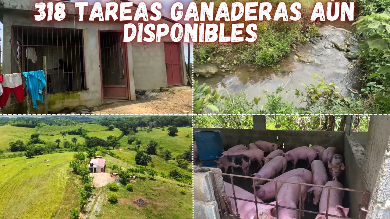 Finca ganadera, Agricola y exelente para vivir en el campo en venta - Republica Dominicana